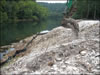 My Gallery: Image